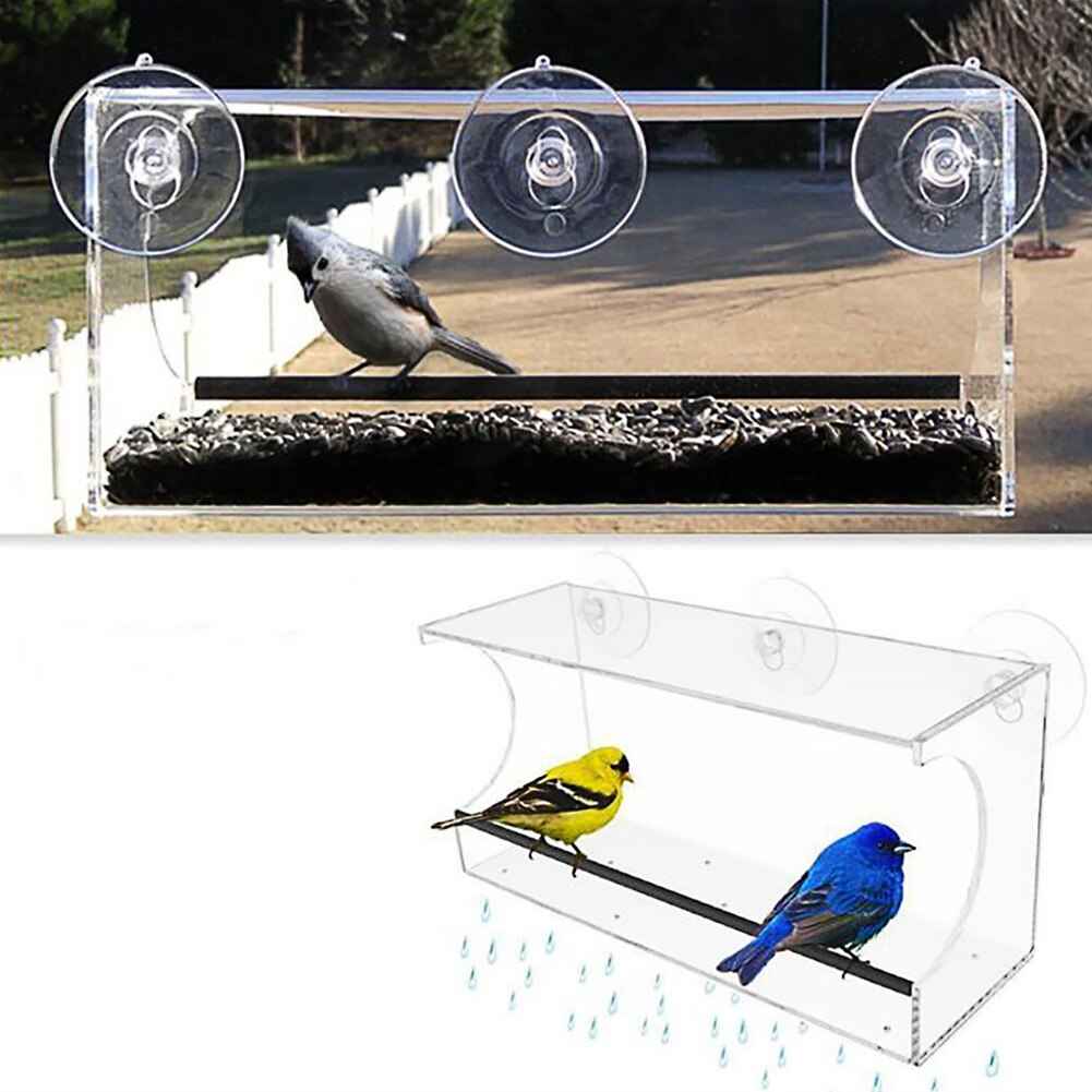 Acrylic Bird Feeder