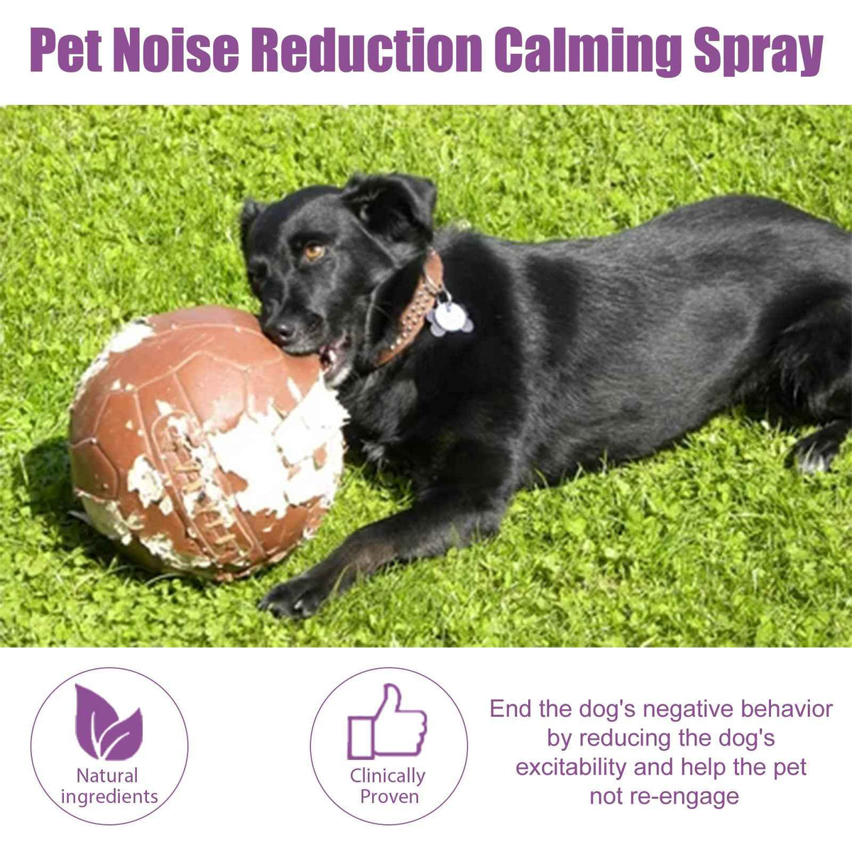 Pet Calming & Noise-Anxiety Spray