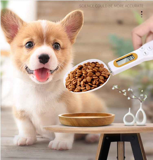 Digital Pet Food Measuring Spoon