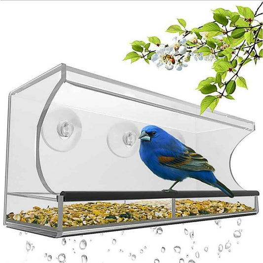Acrylic Bird Feeder