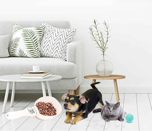Digital Pet Food Measuring Spoon