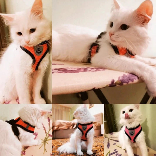 Adjustable Mesh Pet Harness with Leash, Polyester Vest Type Walking Strap for Small Medium Cats Dogs