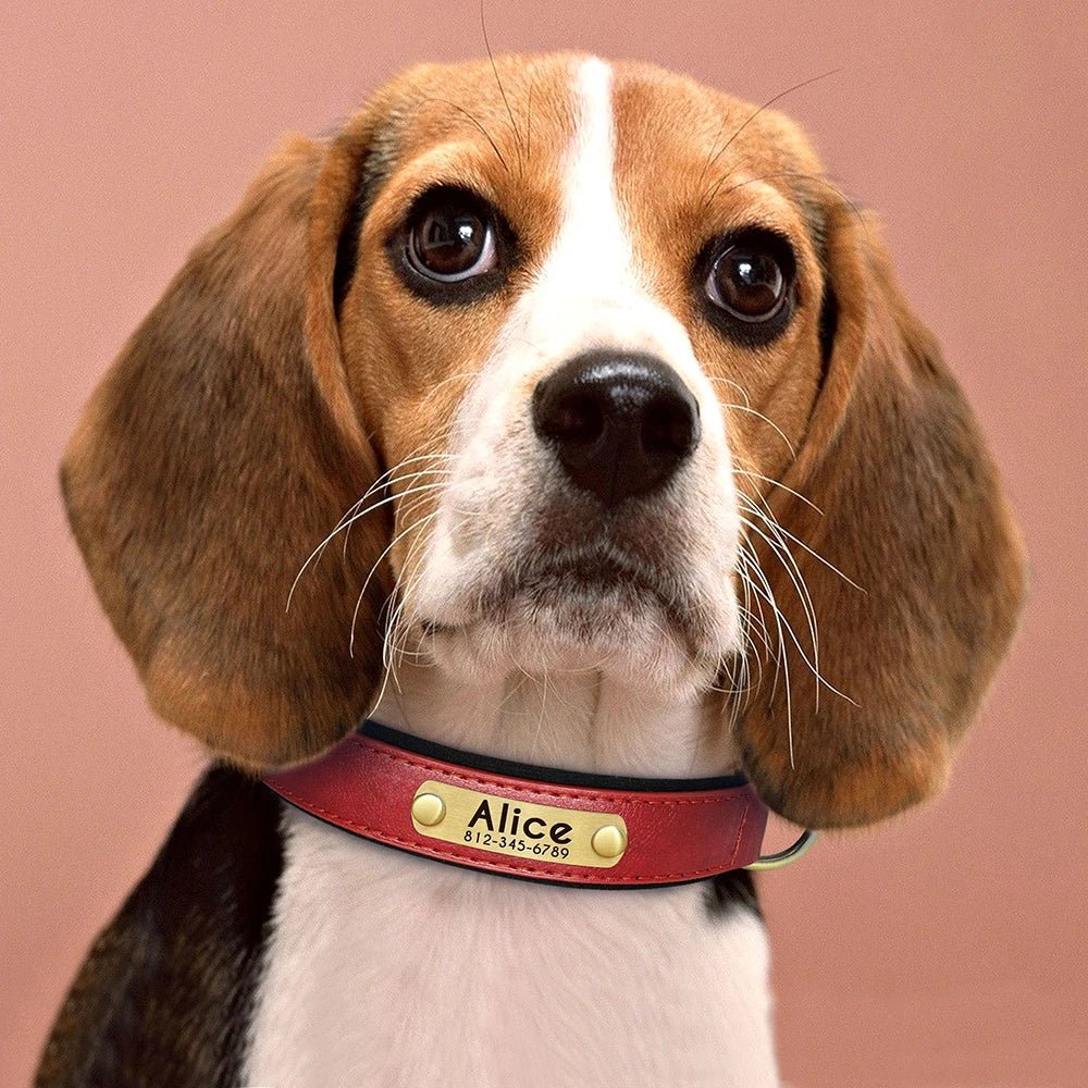 Customized PU Leather Nameplate Dog Collar Soft Padded Dogs Collars Free Engraving Name for Small Medium Large Dogs Adjustable
