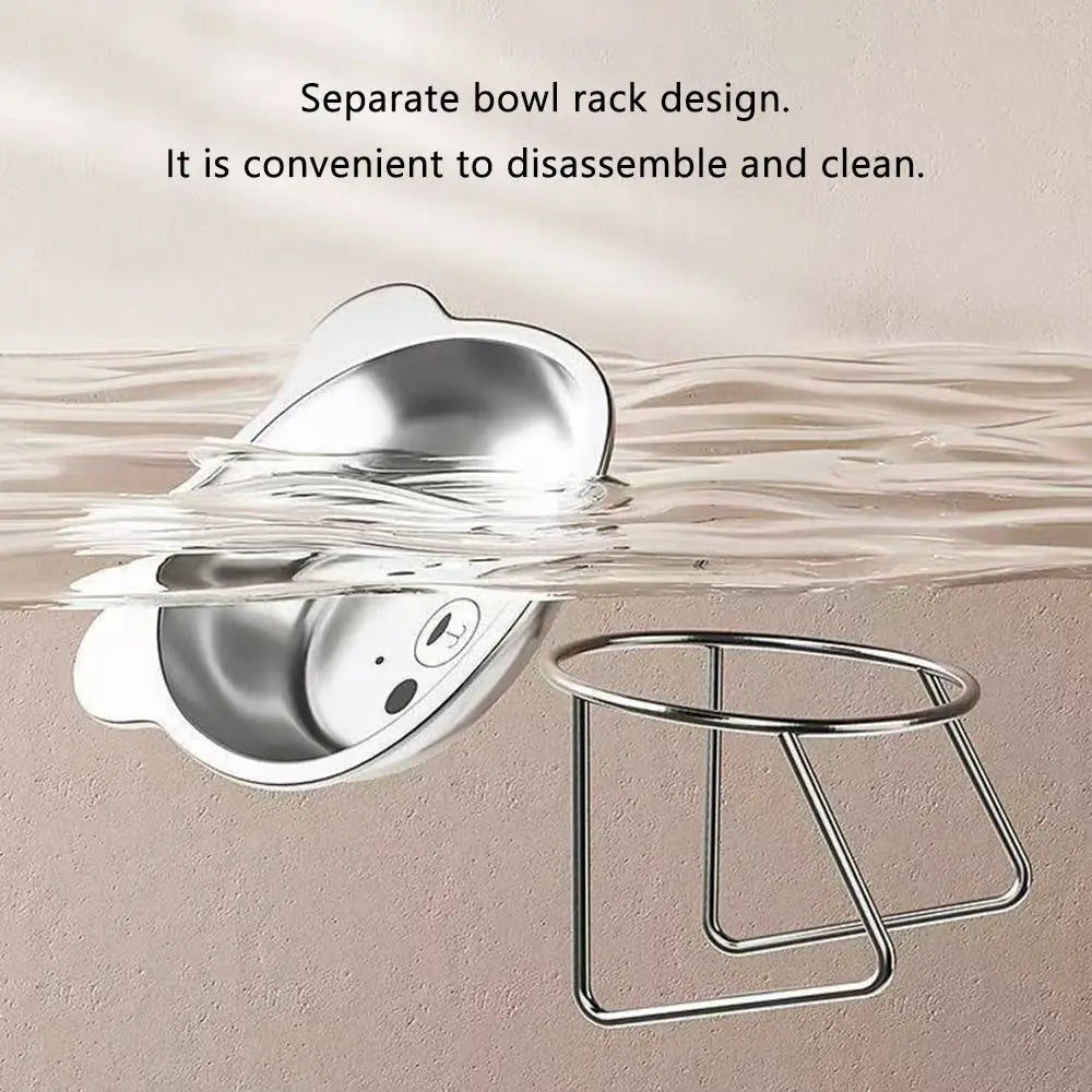 ‌304 Stainless Steel Raised Cat Bowl with 15° Elevated Design Tilted Neck Guard Healthy Feeding Shatterproof for Cats Puppies