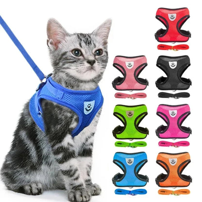 Adjustable Mesh Pet Harness with Leash, Polyester Vest Type Walking Strap for Small Medium Cats Dogs