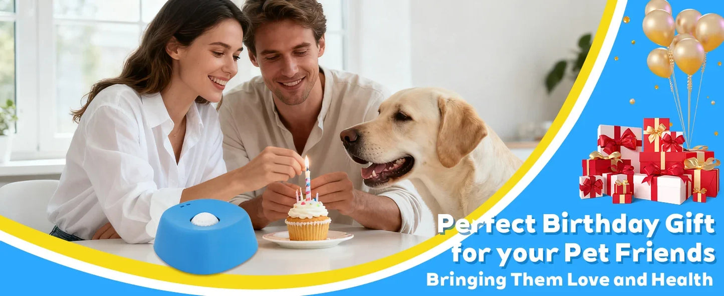 Anti-Choking Slow Feeder Dog Bowl Non-Slip 3/4 Cup - Lick Toy for Liquid Treats Bone Broth Ice Cream Yogurt