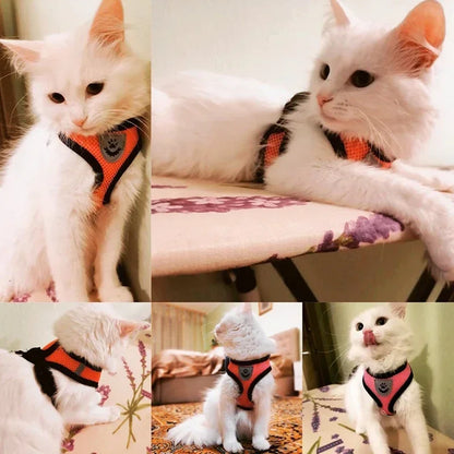 Adjustable Mesh Pet Harness with Leash, Polyester Vest Type Walking Strap for Small Medium Cats Dogs