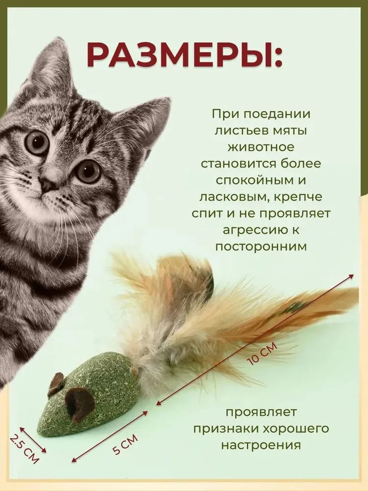Cat Mint Ball Feather Catnip Ball Grape Catnip Teeth Grinding and Cleaning Pet Digestive Tools Cat Supplies Self Entertainment