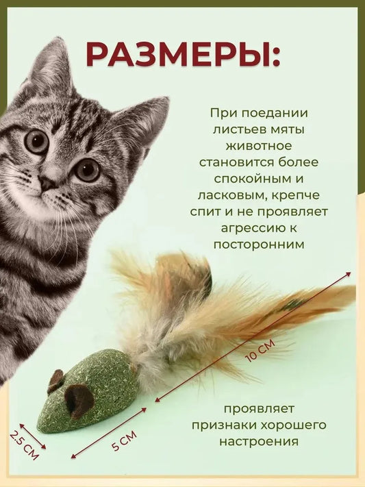 Cat Mint Ball Feather Catnip Ball Grape Catnip Teeth Grinding and Cleaning Pet Digestive Tools Cat Supplies Self Entertainment