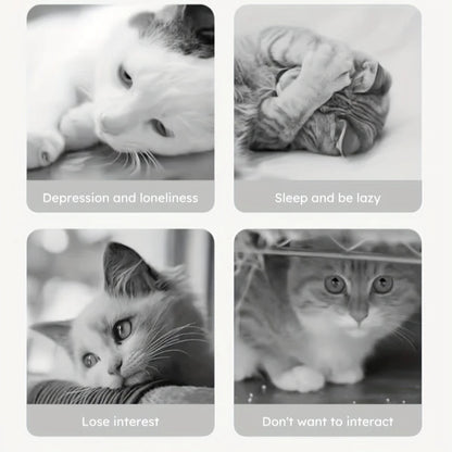 1pc Interactive Cat & Dog Toy - Durable Bite-Resistant Design, Hiding Food & Grinding Teeth Entertainment for Small Pets