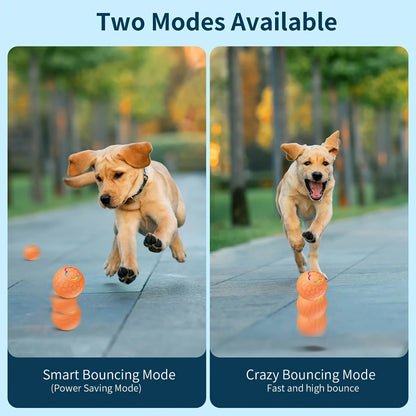 Smart Dog Toy Ball Electronic Interactive Pet Toy Ball USB Automatic Bouncing Rolling Toy Ball With RGB Lights Puppy Cat Product