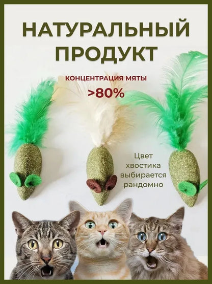 Cat Mint Ball Feather Catnip Ball Grape Catnip Teeth Grinding and Cleaning Pet Digestive Tools Cat Supplies Self Entertainment