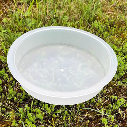 1pcs Bird Feeding Dish Tray Platform Feeder Bird Water Bowl Hanging Bird Bath Outdoor Outside Patio Parrot Tree Garden Courtyard