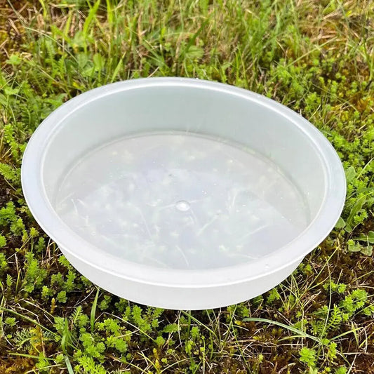 1pcs Bird Feeding Dish Tray Platform Feeder Bird Water Bowl Hanging Bird Bath Outdoor Outside Patio Parrot Tree Garden Courtyard