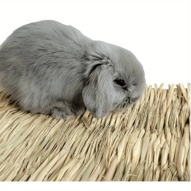 Pet Grass Mat Rabbits Bunny Mat Natural Straw Bedding Resting Cage Mat For Guinea Pig Parrot Chinchilla Hamster Rat