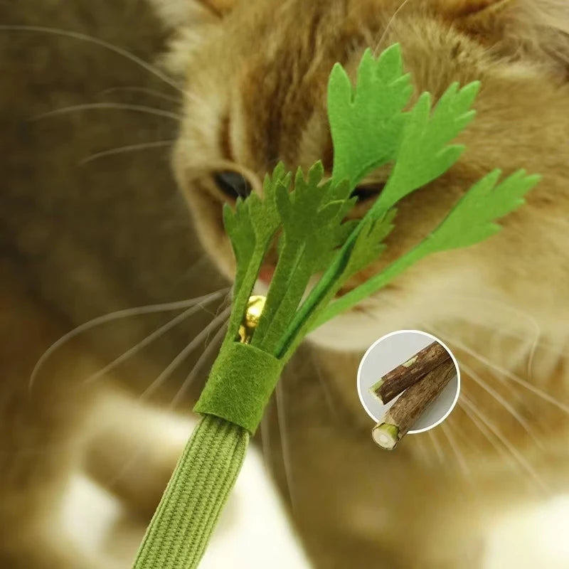 Cat Chew Toys Catnip Cat Teeth Cleaning Toy Interactive Self Playing Catnip Molar Stick Toys Bite Squeaky Cat Toy